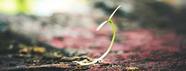 Motivation empowersU